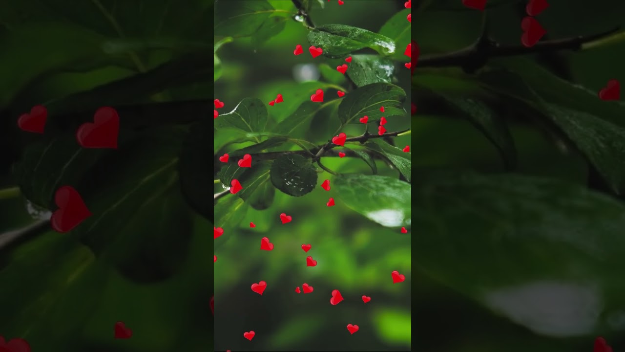 Легенда Вечера: Самая Красивая и Расслабляющая Музыка 🎶