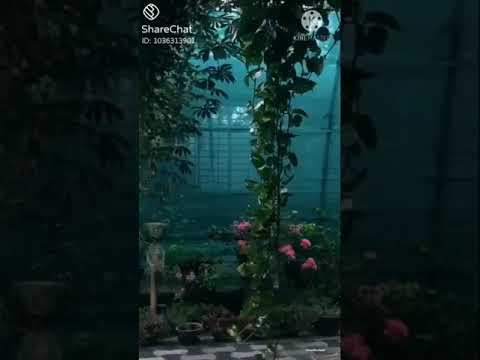 Kaatril Endhan Geetham WhatsApp Status 🎶