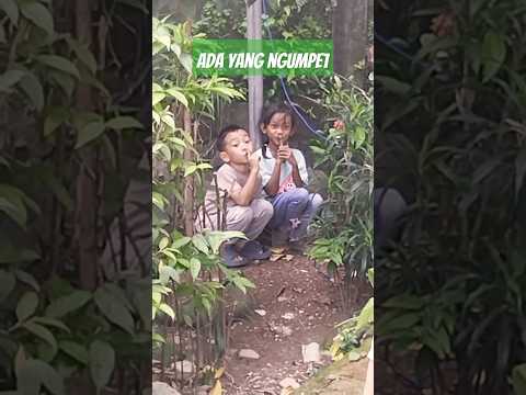Main Tak Umpet #mainananak #mainpetakumpet