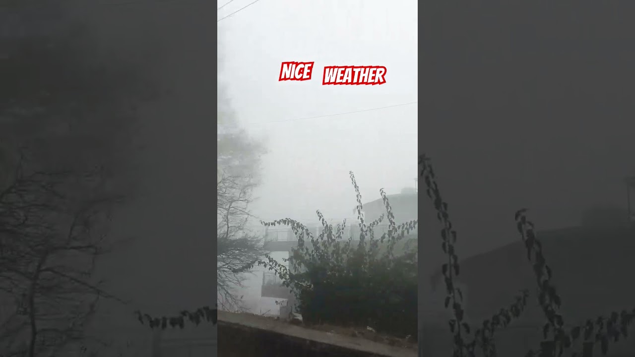 Viral Bollywood Song with Fast Moves 🎶