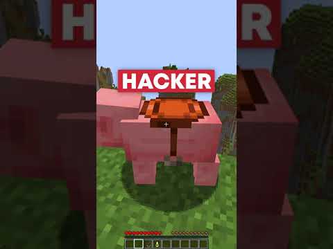 Minecraft NOOB vs PRO vs HACKER: Epic MLG Clutch! 🎮
