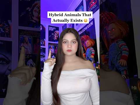 Hybrid Animals That Actually Exists 😳 @Starr02 #shorts #shortsfeed