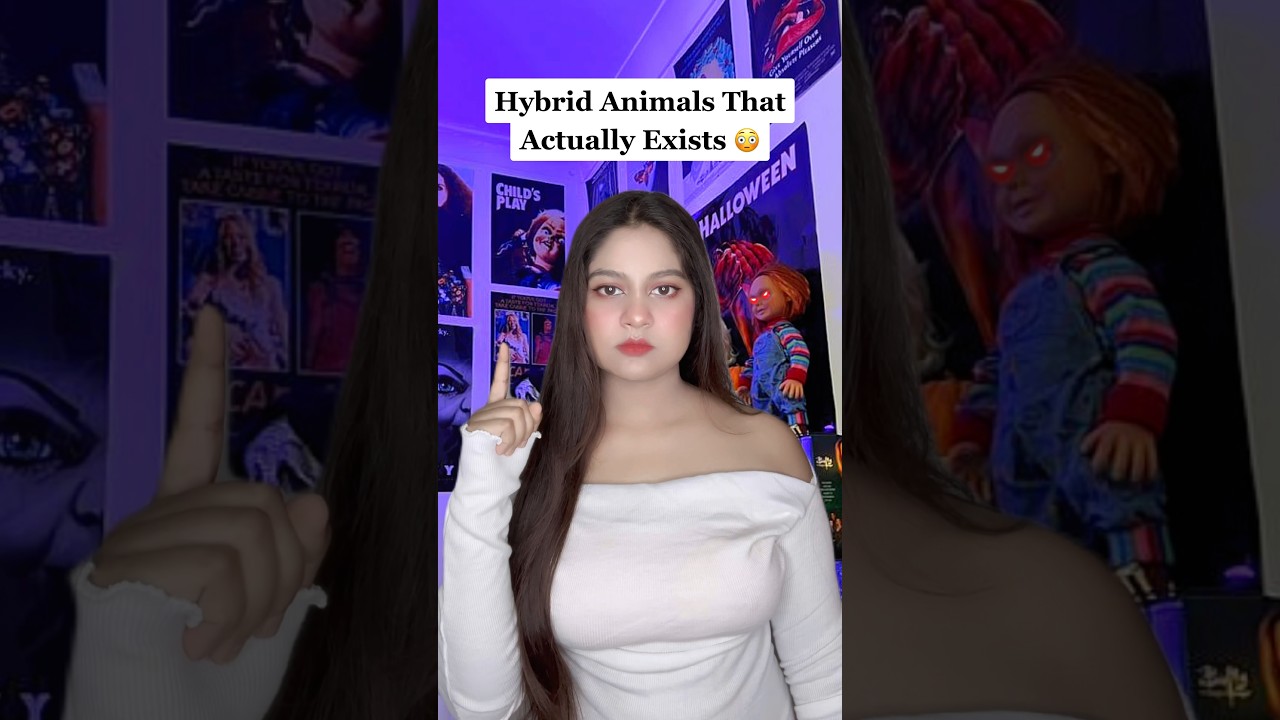 Amazing Hybrid Animals That Really Exist! 🐾