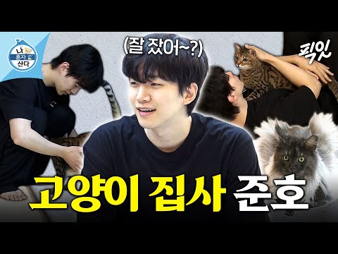 [나혼자산다] 고양이 4마리 모시고 사는 유죄 인간 이준호의 집사 라이프 MBC210521방송 #나혼산 #이준호