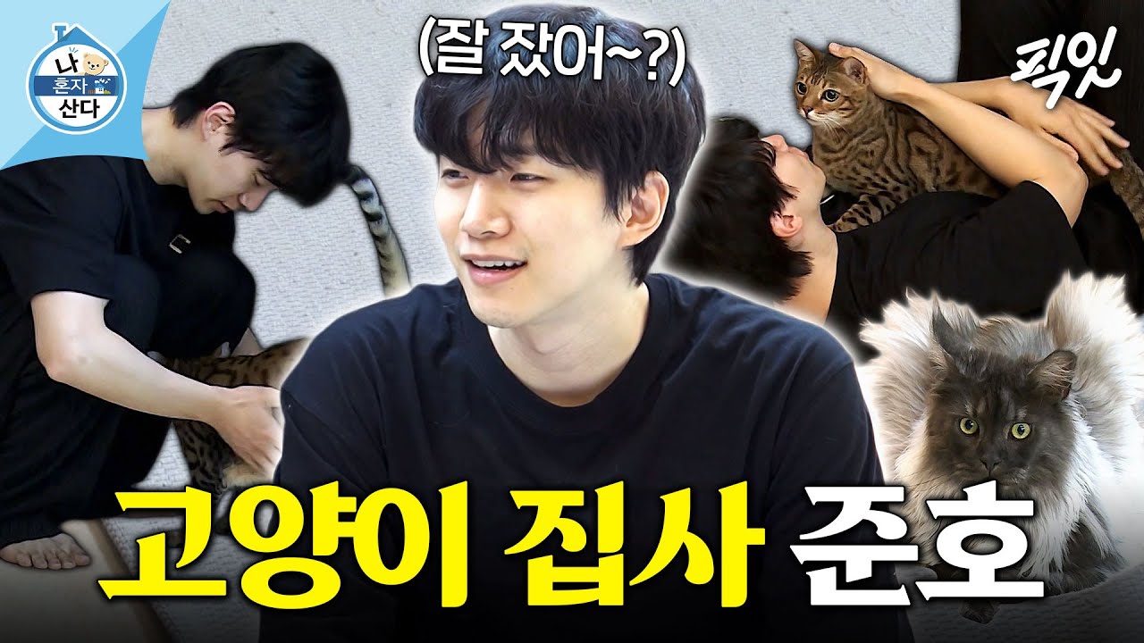 이준호의 사랑스러운 고양이 4마리와 함께하는 집사 라이프 🐱