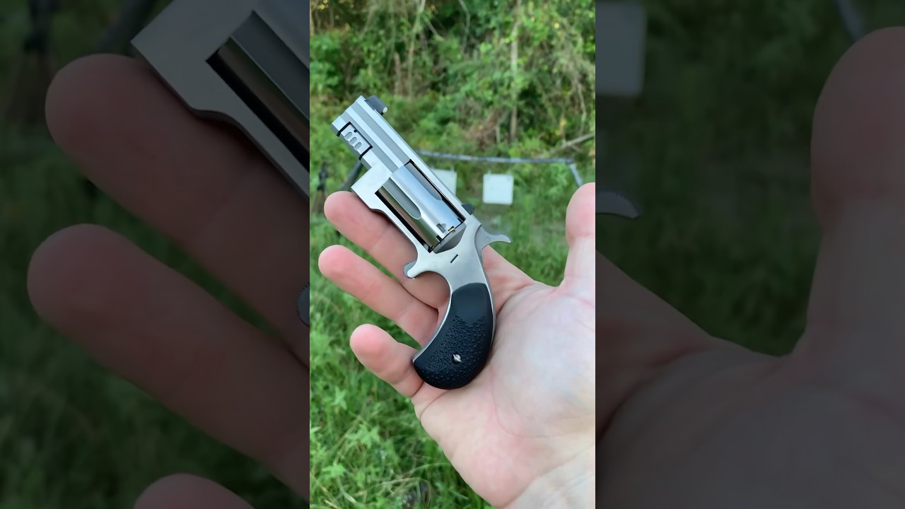 Sentinel .22 Magnum Rifle 🎯