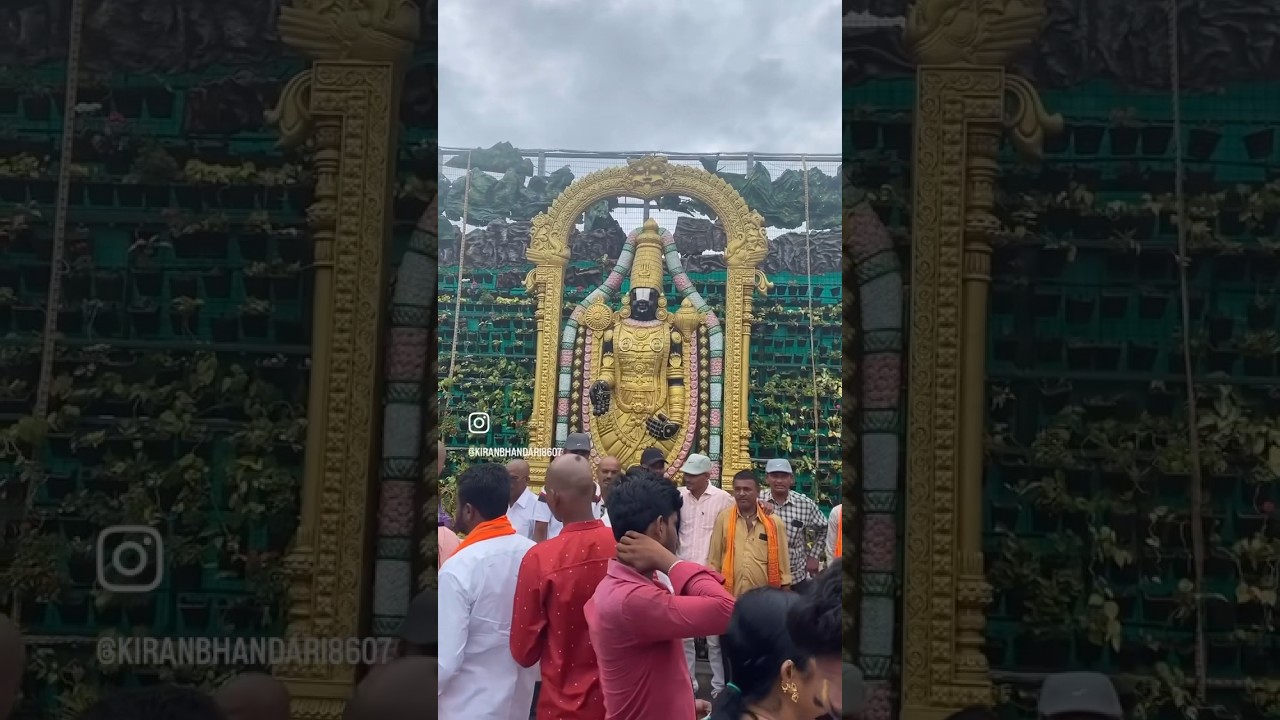 Govinda Govinda Gooo——vinda🛕🙏🌼🌼🌼🌸❤️#ttd #tirumala #tirupatibalaji #vishnu #powerofsanatan #🛕