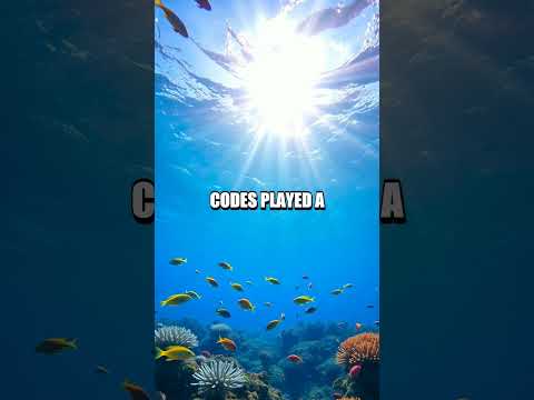 The Secret Decryption of U-505's Enigma