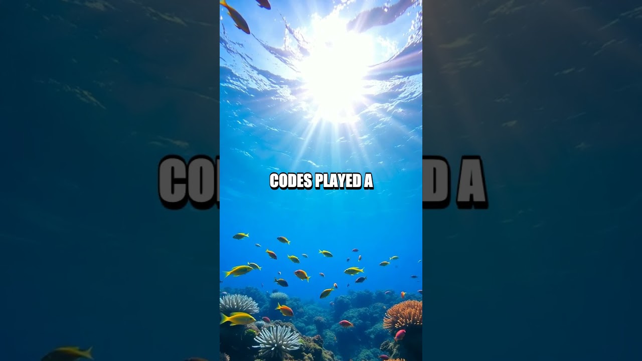 Unveiling the Secret: How U-505's Enigma Changed WWII 🕵️♂️