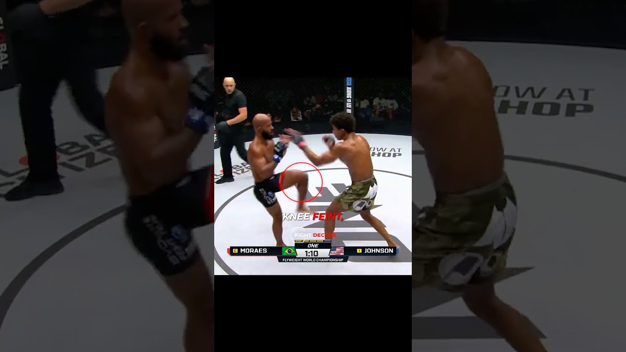 Demetrious Johnson's Exceptional Fight IQ 🧠