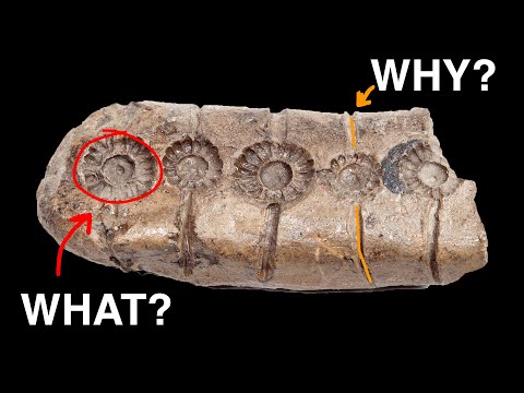 Europe's Undeciphered Prehistoric Tablets - Enigmatic Artefacts