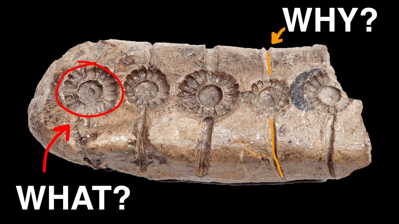 Unraveling Europe's Mysterious Prehistoric Tablets 🗿