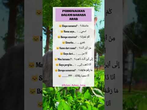 Perkenalan Dalam Bahasa Arab #bahasaarab #bahasaarabmudah #shorts #bahasaarabonline