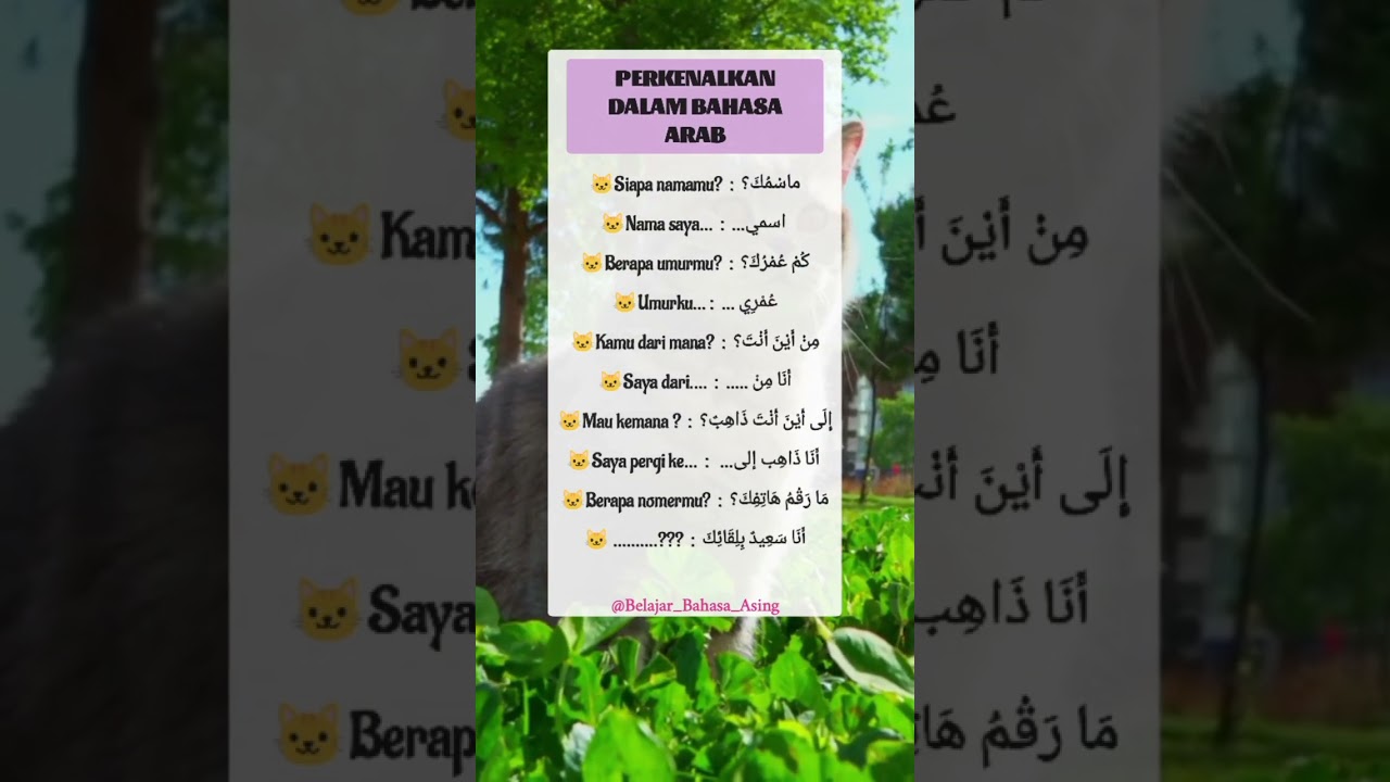 Belajar Perkenalan dalam Bahasa Arab dengan Mudah! โจ