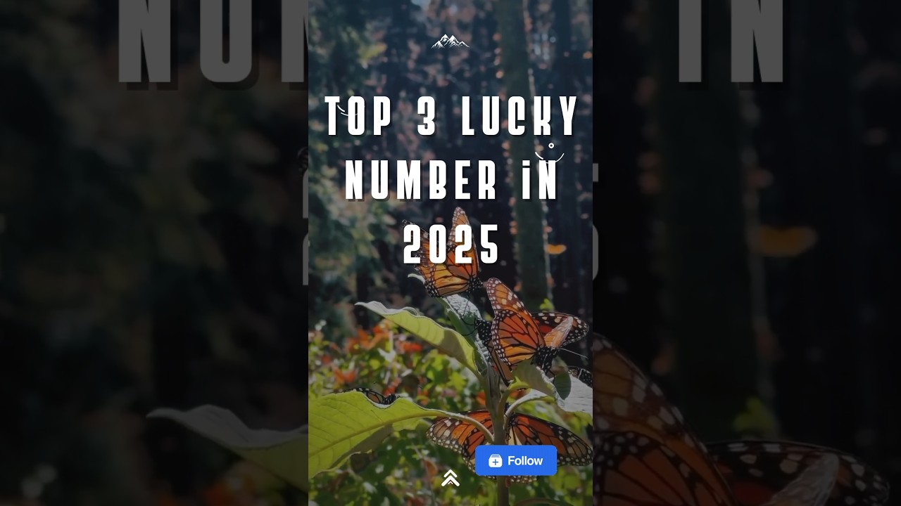 Top 3 Lucky Numbers for 2025 Based on Zodiac Signs