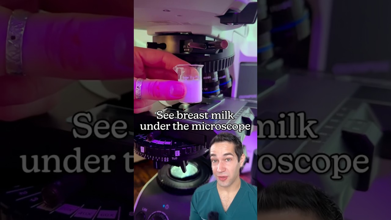 What Human Milk Looks Like Under a Microscope 🍼