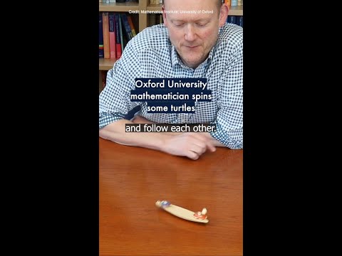 Oxford University mathematician spins some turtles 🐢 #OxfordUni