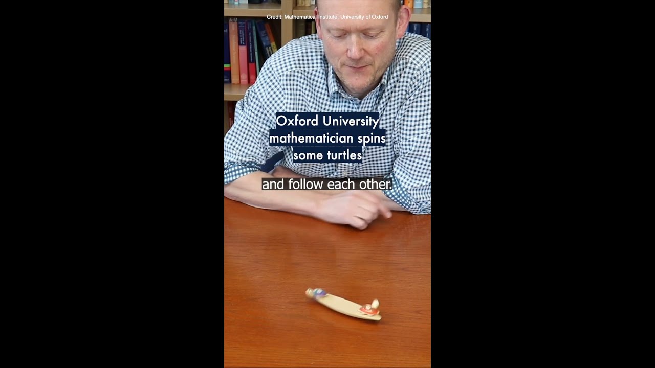 Oxford Mathematician Shares Fascinating Turtle Spinning Experiment 🐢