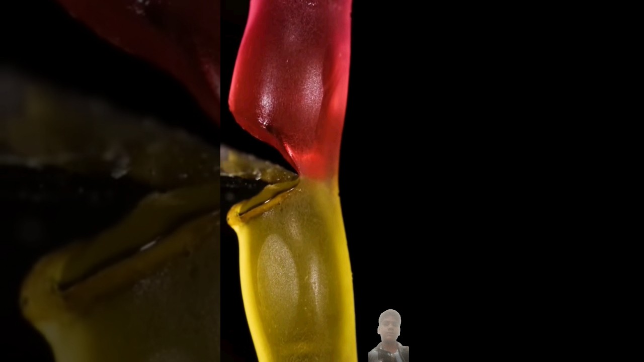 Understanding the Object Videos
