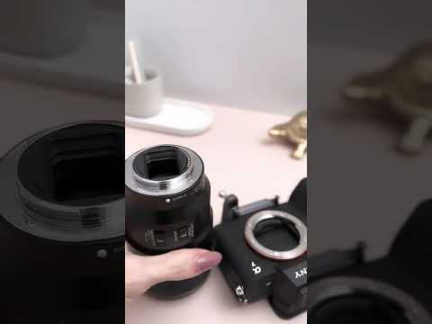 90mm macro. What should I shoot first?