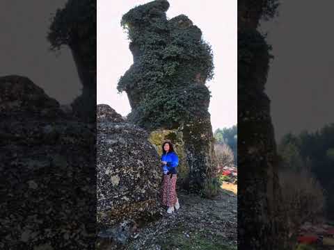 Светлана Малова - О, как, Господь, постичь Тебя #светланамалова #песнидлядуши