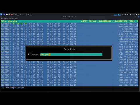 Bypass file-upload on high security via polyglot webshell