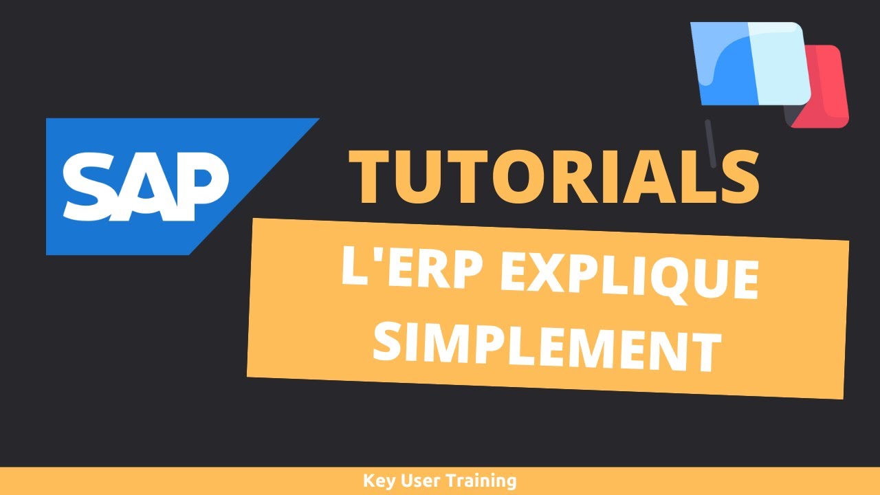 ERP Décrypté Facilement : Maîtrisez SAP et ses Fonctionnalités 🚀
