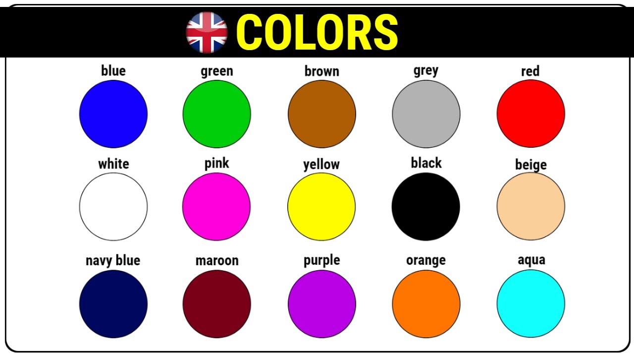 Colors in English for Kids 🎨