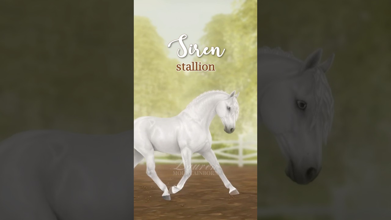 My New Andalusians & Their Names 🥰
