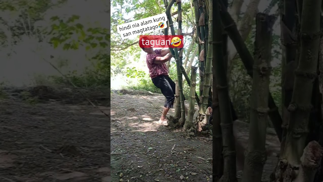 Capture the Joy of the Moment 🌟