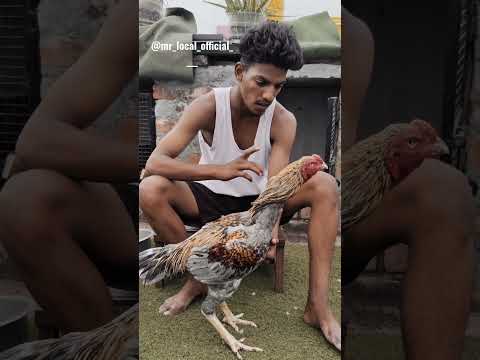 💥panthayam mattum koduthuratha da thambi......👿⚔️ #shorts #aadukalam #dhanush #trending #letsmoj