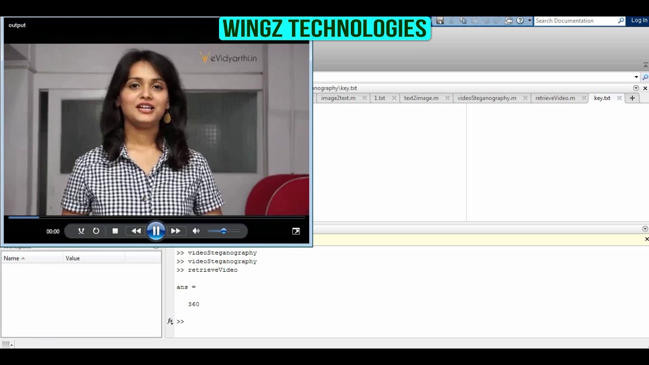 Learn Digital Image Watermarking & Video Steganography: Examples & Tutorials 🎥
