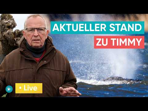 :newstime