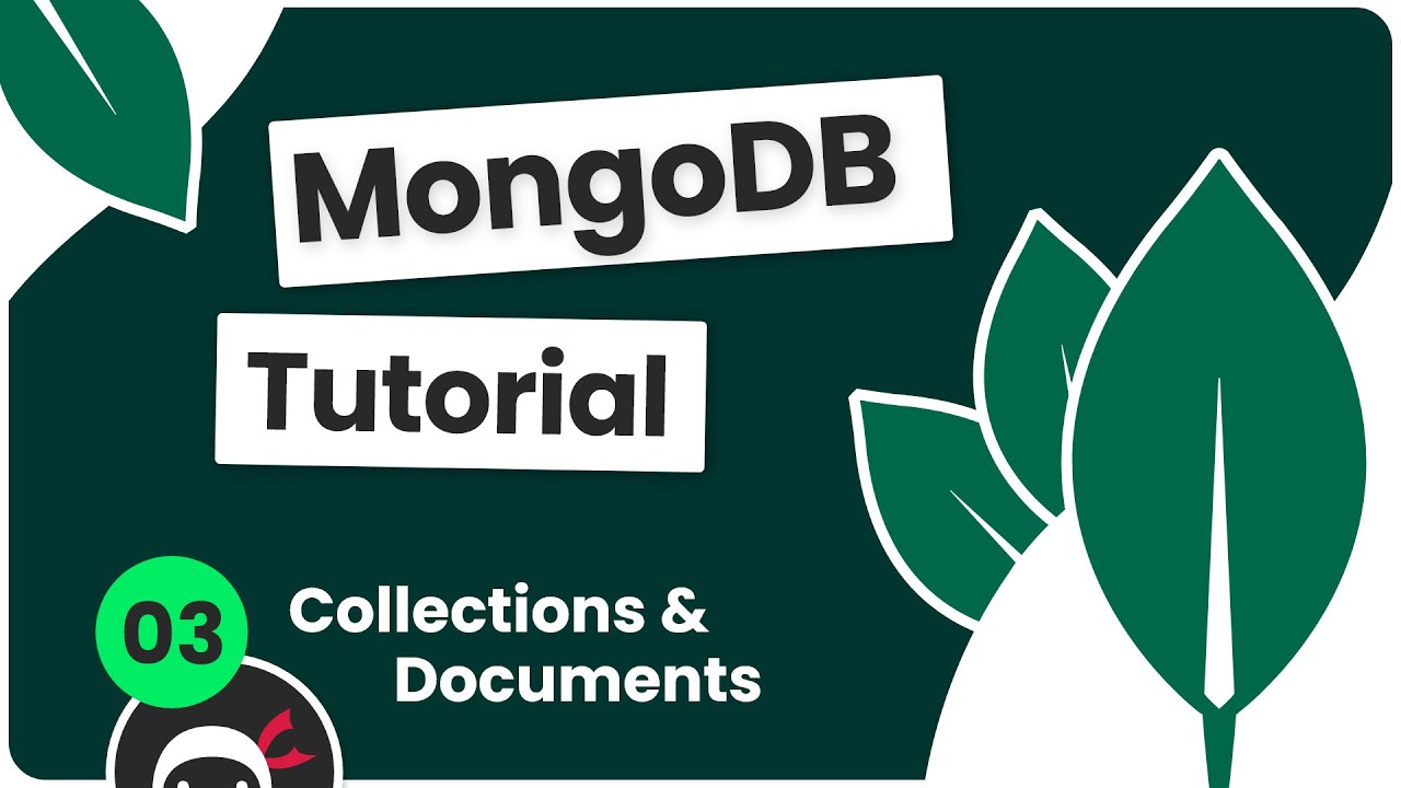 MongoDB Tutorial #3: Collections & Documents 🗃️