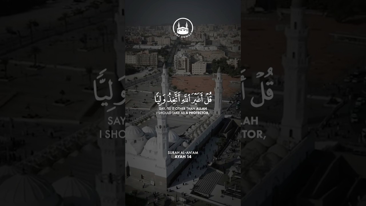 Surah Al-An’am Ayat 14 - Soothing Recitation by Muhammad Ayyub 🎧