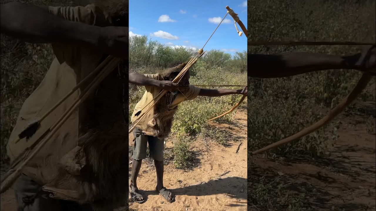Hadzabe Tribe's Heavy Bows for Hunting 🎯