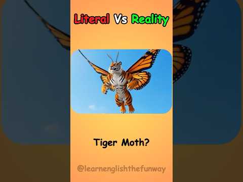 Literal Vs Reality English Compound Words | 130
