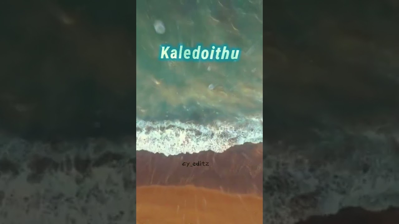 Nenne Tanaka | Thrivikrama Kannada Song 🎶