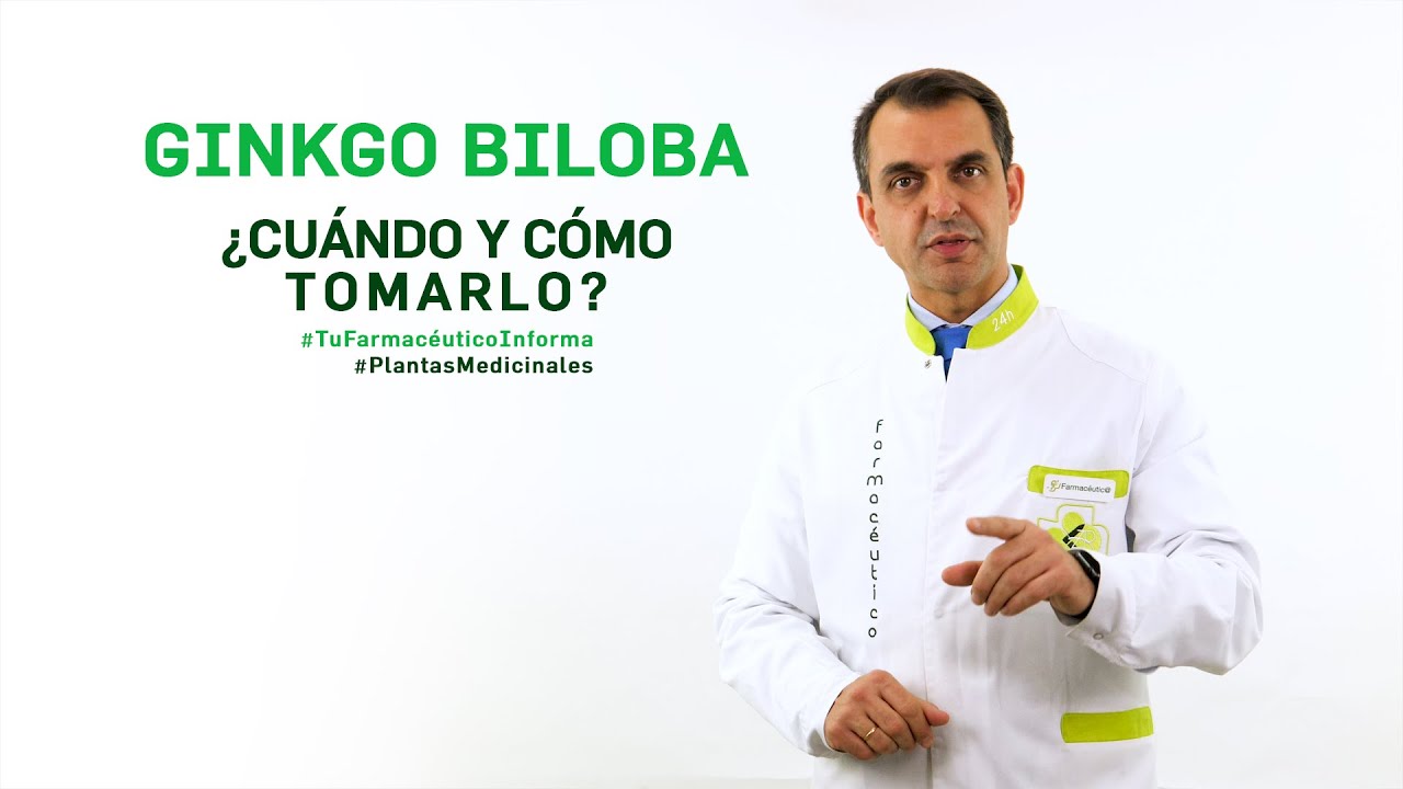 Cómo y cuándo tomar Ginkgo Biloba 🌿