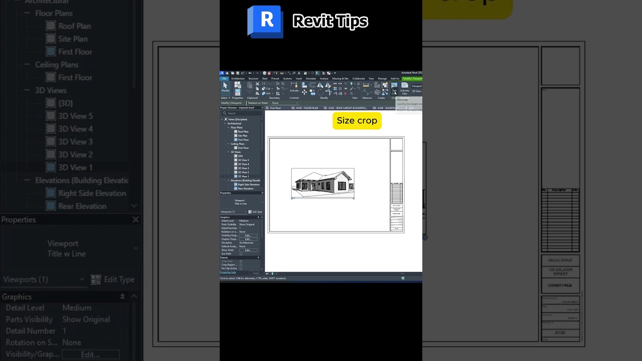 Resize 3D Views on Sheets in Revit