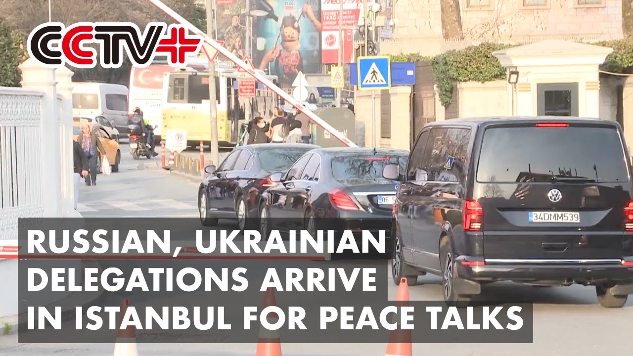 Russian, Ukrainian Delegations Arrive in Istanbul for Peace Talks