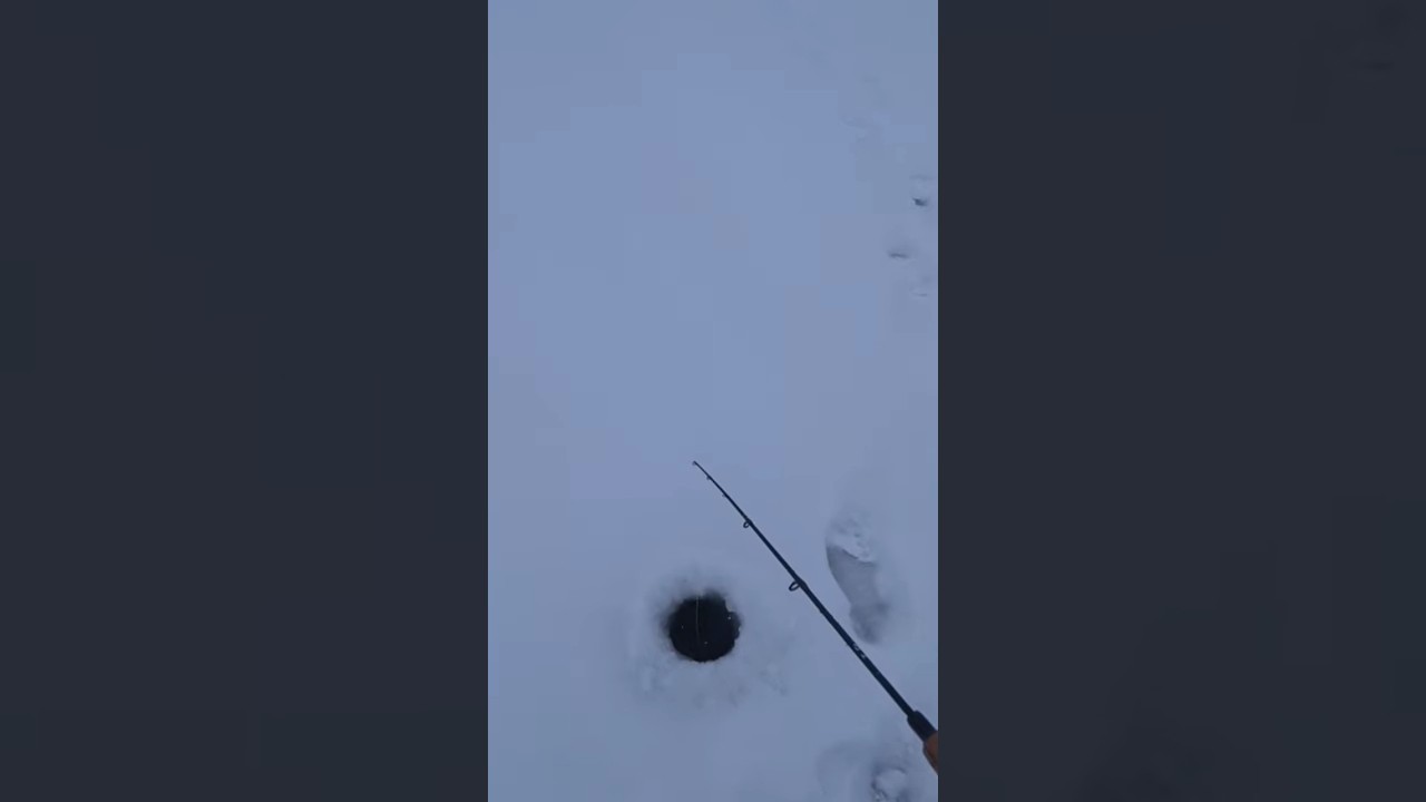 Ловля окуня на балансир 🎣