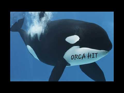 SAMARA ._ Me Dayem Welou