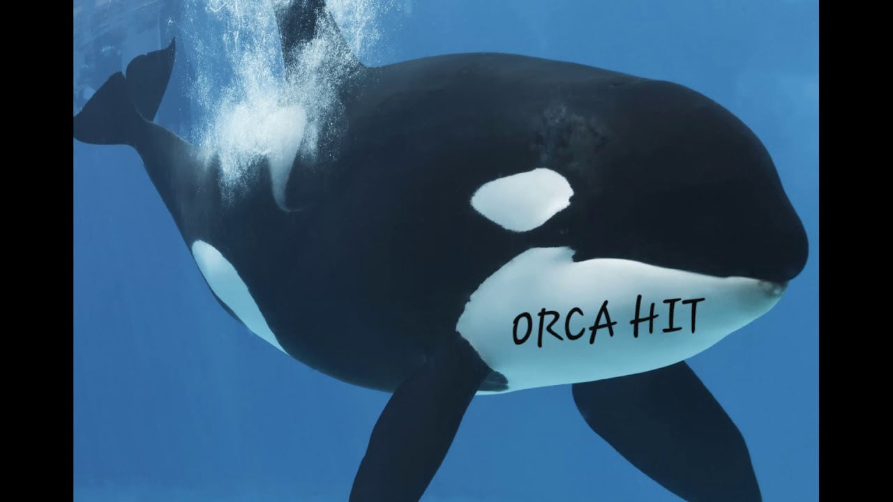 Discover the Beauty of Samara with Me Dayem Welou 🌟