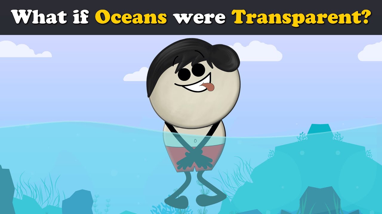 What If the Ocean Were Transparent? 🌊