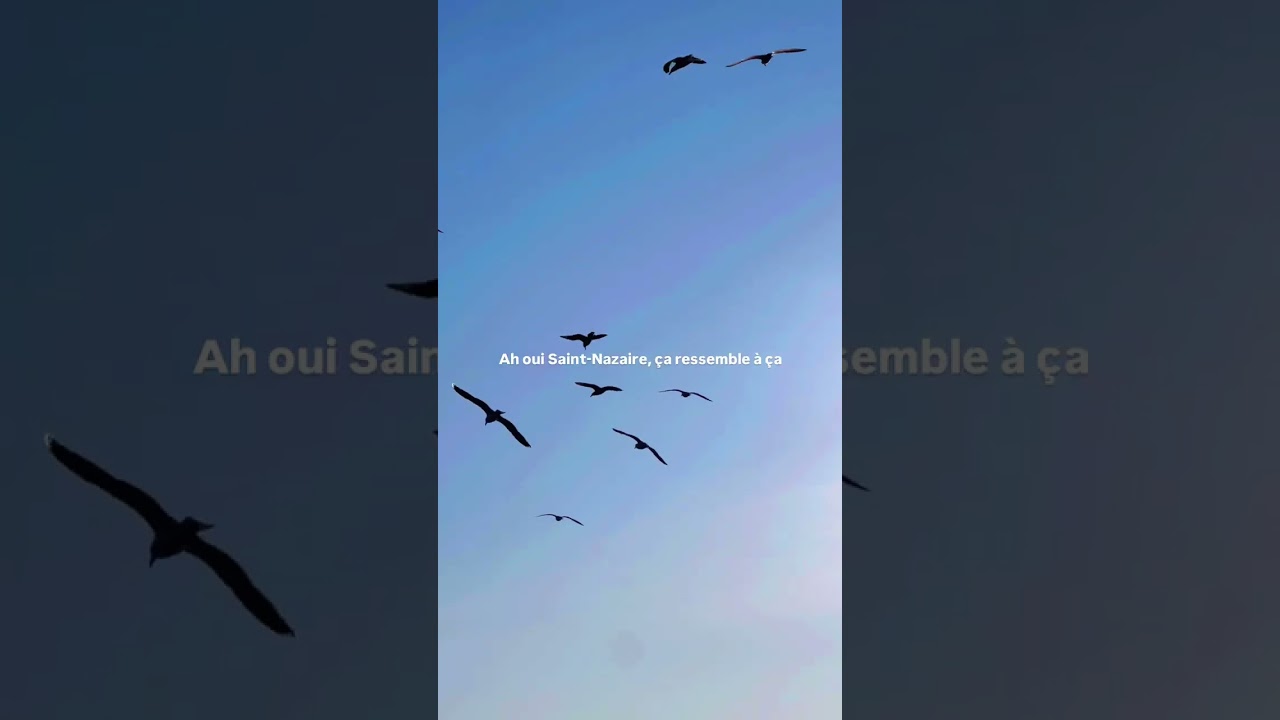 Saint-Nazaire, ça ressemble à ça ?