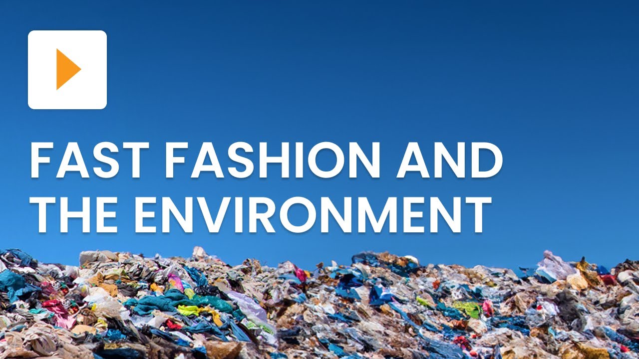 Fast Fashion & Its Environmental Impact 🌍