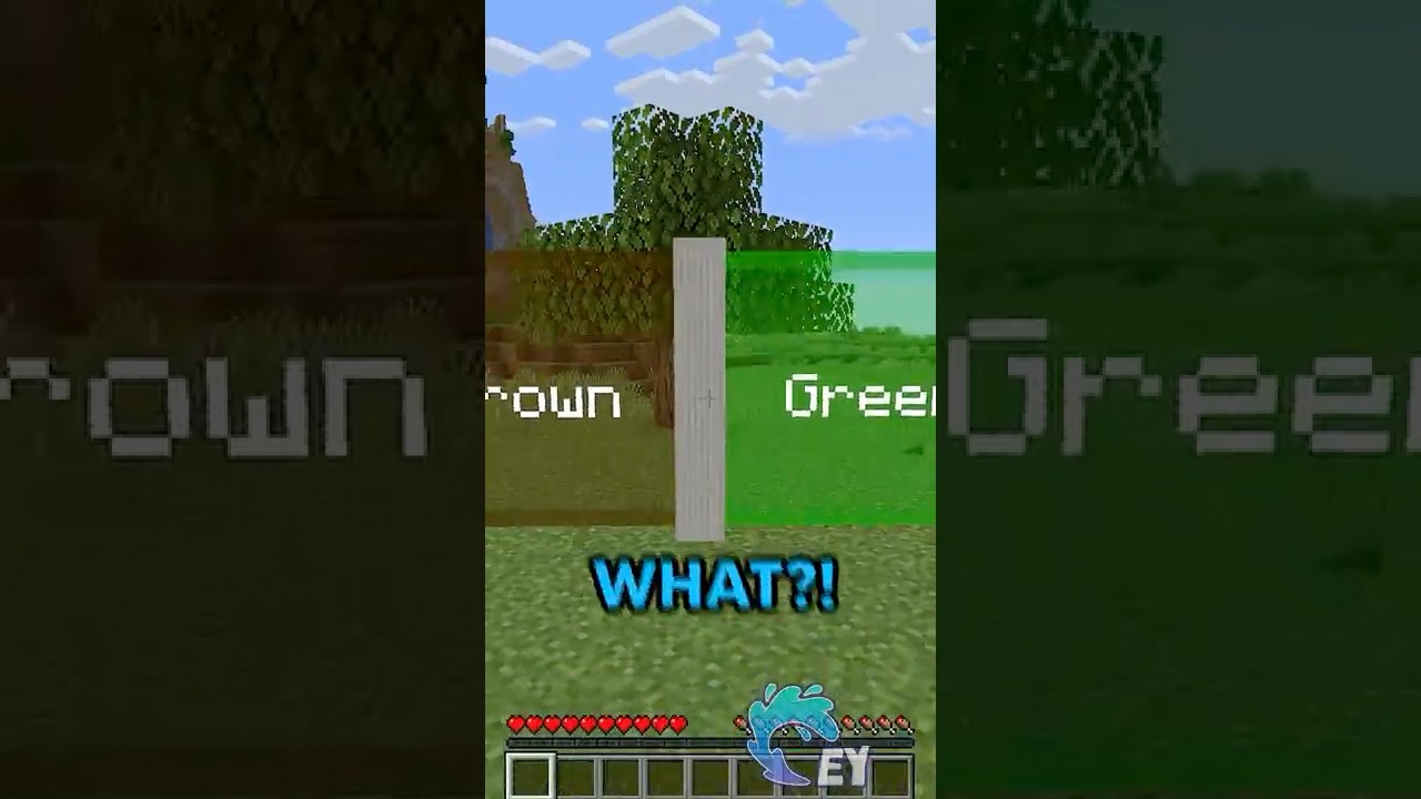 Minecraft, But I Can Only Pick One Color!