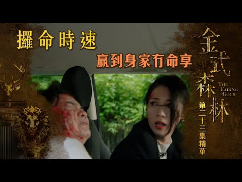 金式森林專區｜精華搶先看｜第23集 - 攞命時速 贏到身家冇命享 | 搶先睇更多 即上myTV SUPER