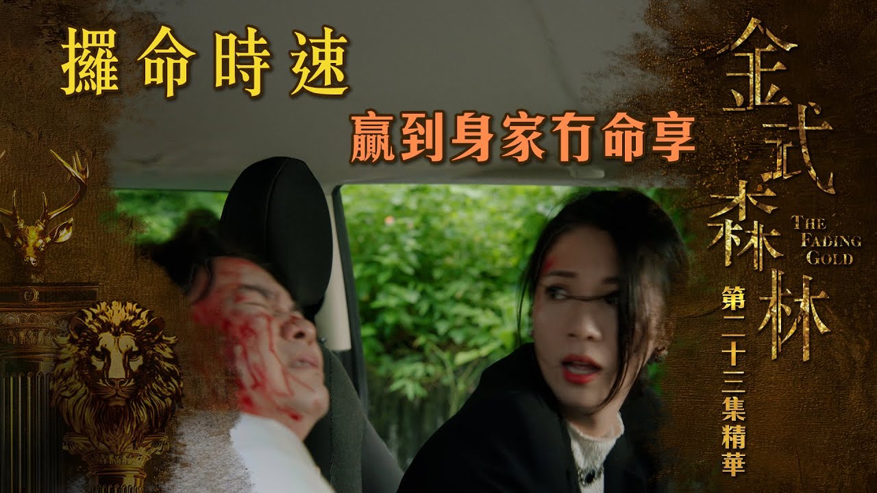 金式森林專區|第23集:极速生死战,赢取财富与生命的极限对决🔥